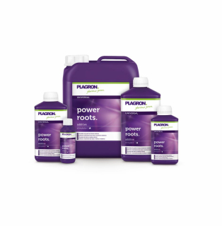 Plagron Power Roots 100ml